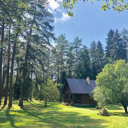 Rojaus Slenis Villa Druskininkai Luaran gambar