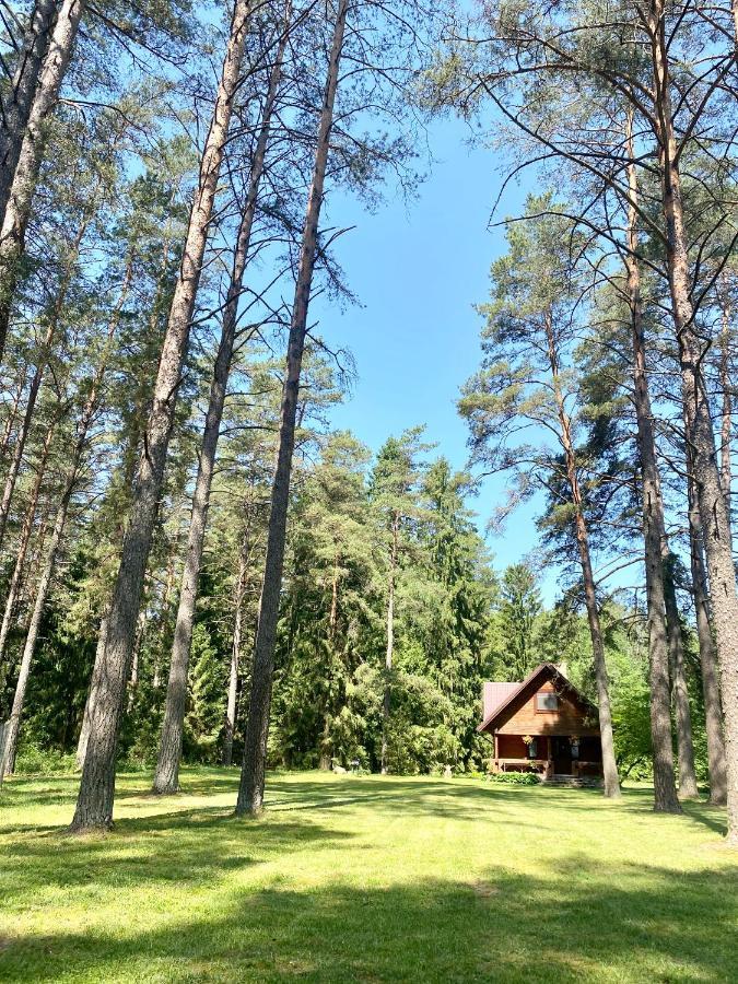 Rojaus Slenis Villa Druskininkai Luaran gambar