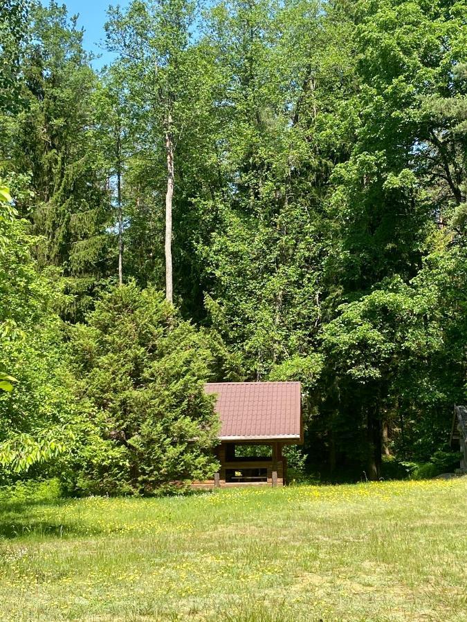 Rojaus Slenis Villa Druskininkai Luaran gambar