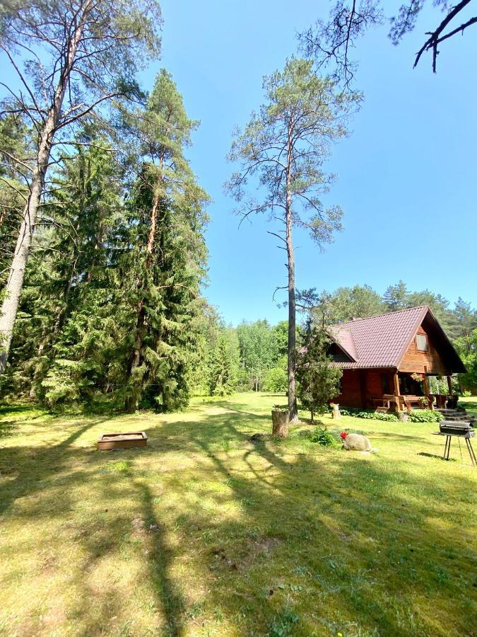 Rojaus Slenis Villa Druskininkai Luaran gambar