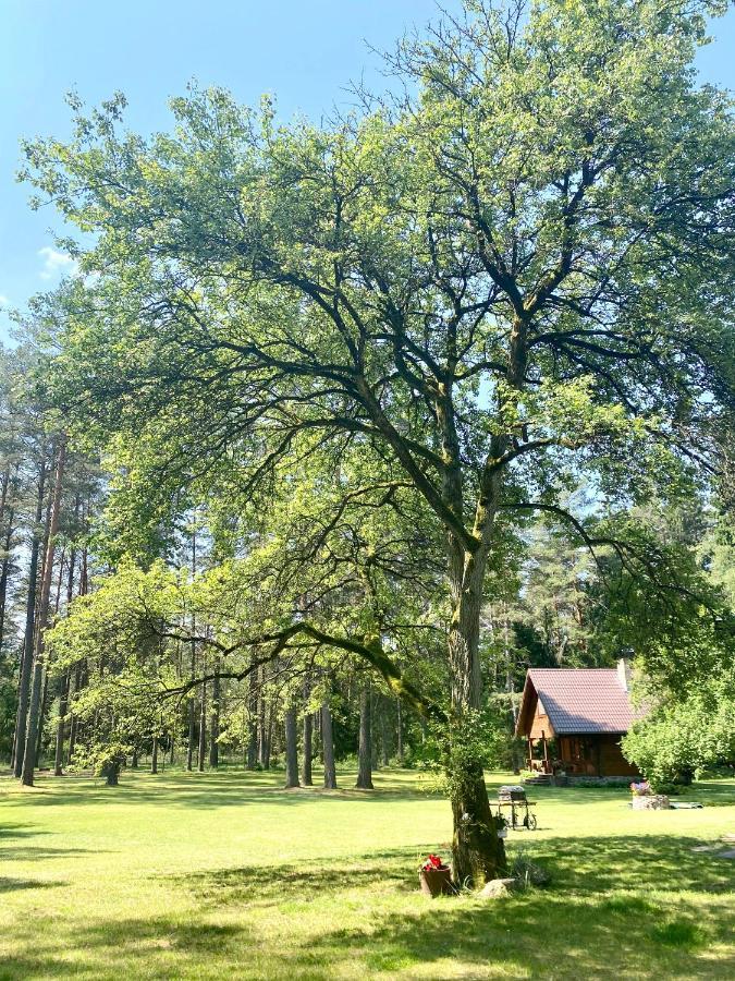 Rojaus Slenis Villa Druskininkai Luaran gambar