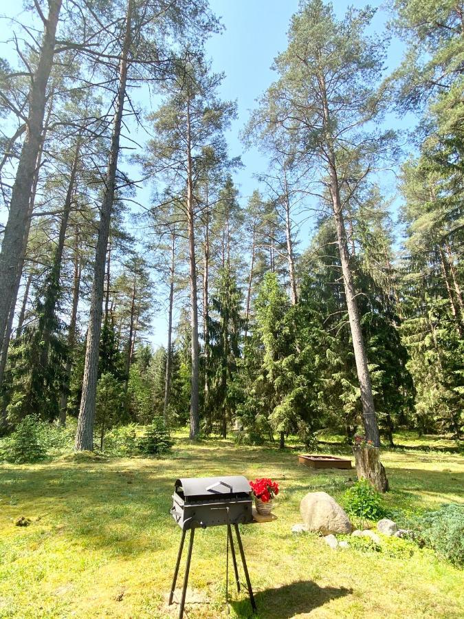 Rojaus Slenis Villa Druskininkai Luaran gambar