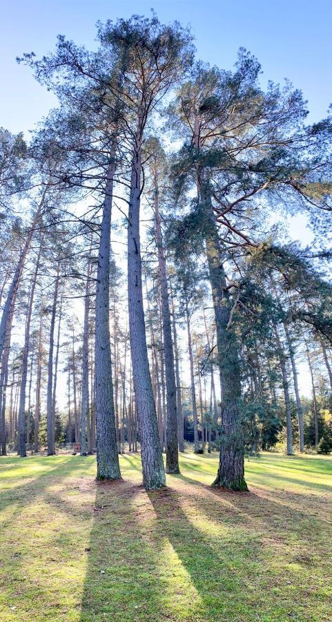 Rojaus Slenis Villa Druskininkai Luaran gambar