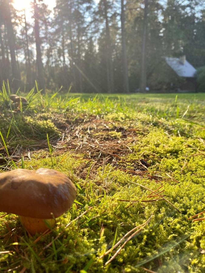 Rojaus Slenis Villa Druskininkai Luaran gambar