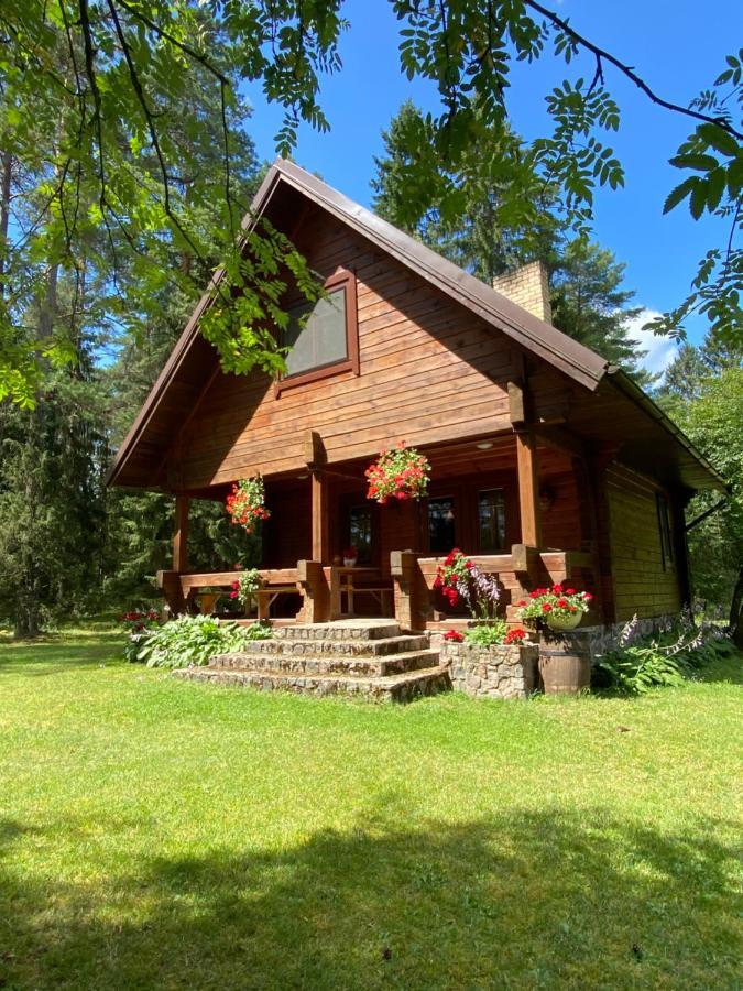 Rojaus Slenis Villa Druskininkai Luaran gambar