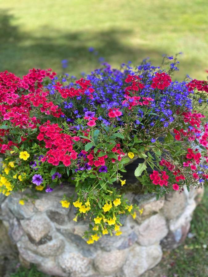 Rojaus Slenis Villa Druskininkai Luaran gambar
