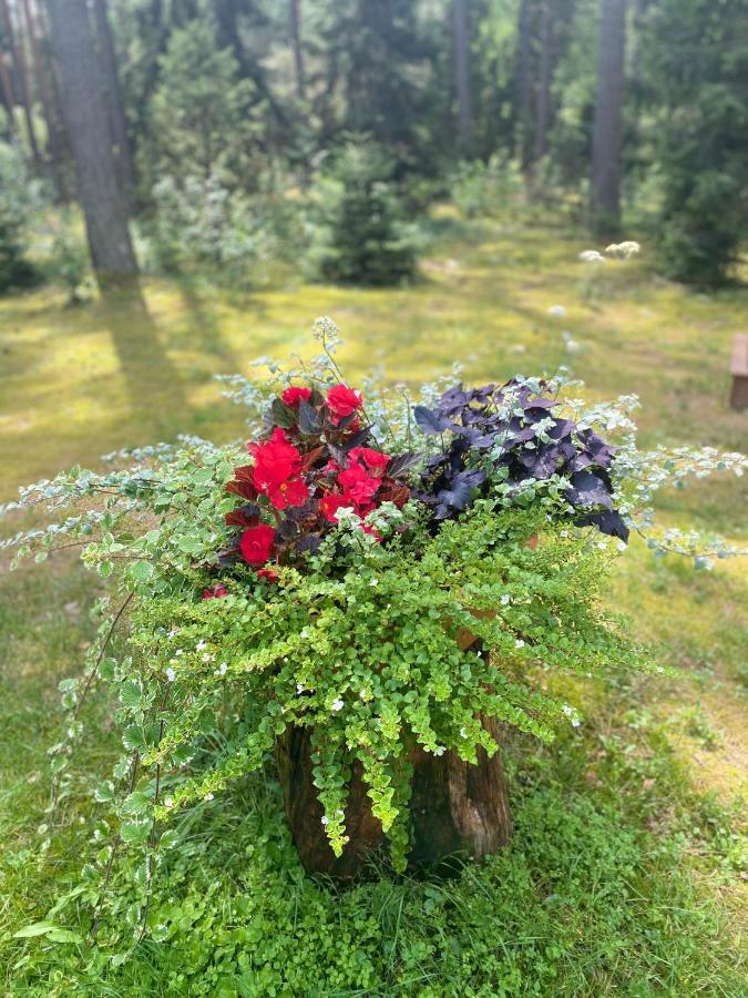 Rojaus Slenis Villa Druskininkai Luaran gambar
