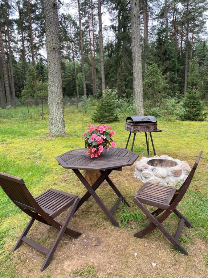 Rojaus Slenis Villa Druskininkai Luaran gambar