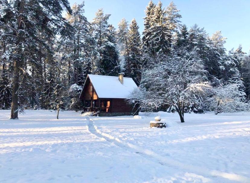Rojaus Slenis Villa Druskininkai Luaran gambar