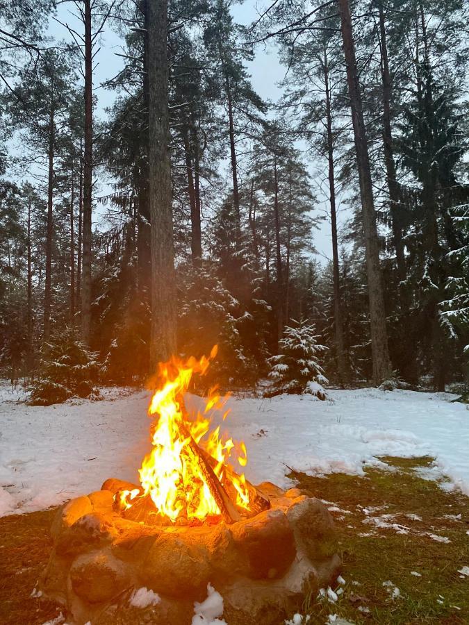 Rojaus Slenis Villa Druskininkai Luaran gambar