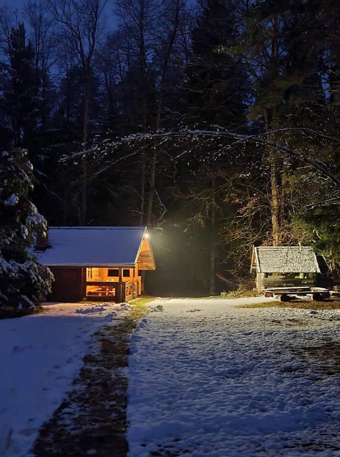 Rojaus Slenis Villa Druskininkai Luaran gambar