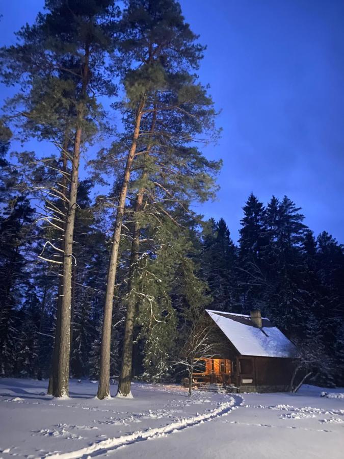 Rojaus Slenis Villa Druskininkai Luaran gambar