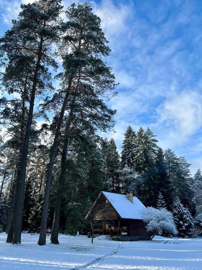 Rojaus Slenis Villa Druskininkai Luaran gambar