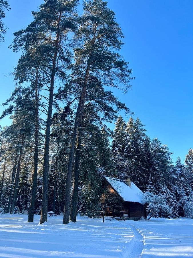 Rojaus Slenis Villa Druskininkai Luaran gambar