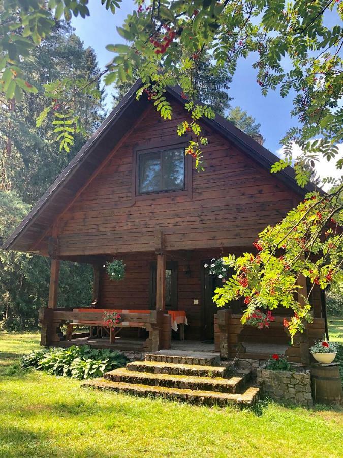 Rojaus Slenis Villa Druskininkai Luaran gambar