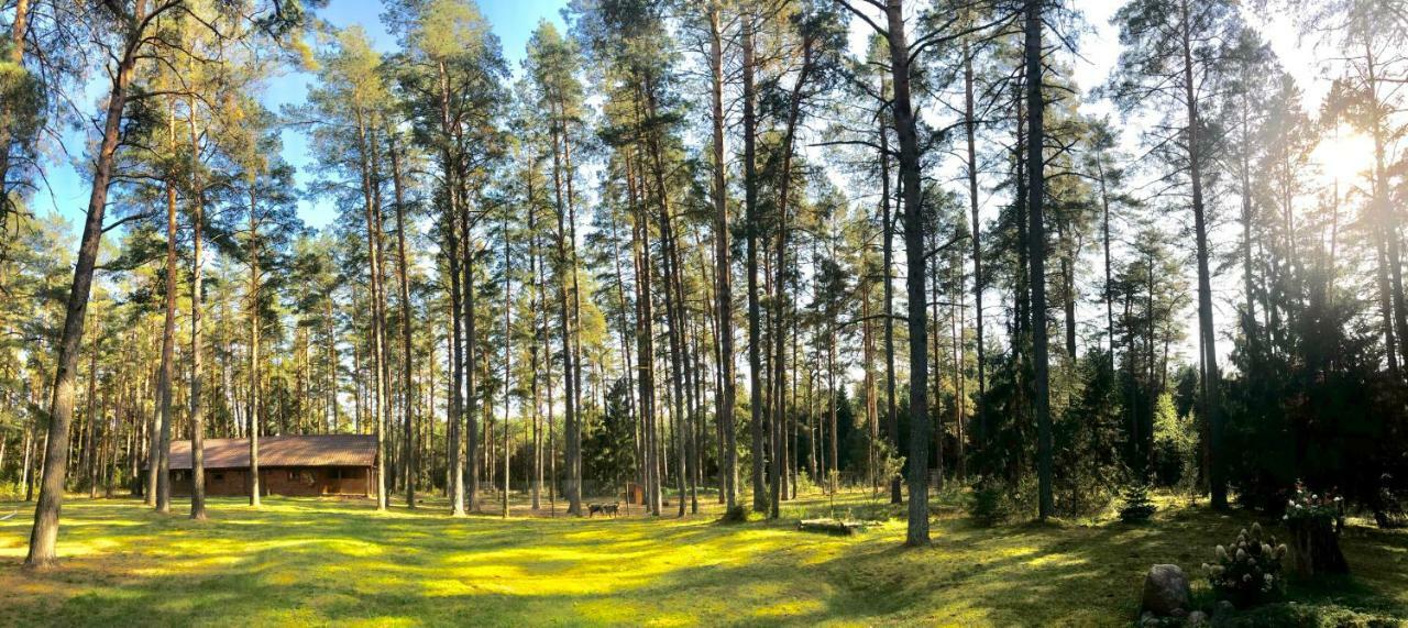 Rojaus Slenis Villa Druskininkai Luaran gambar