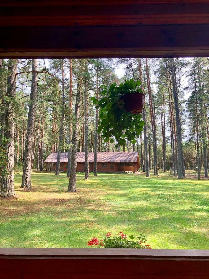 Rojaus Slenis Villa Druskininkai Luaran gambar