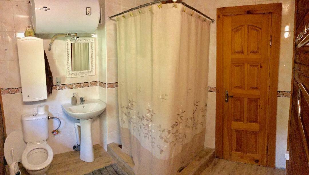 Rojaus Slenis Villa Druskininkai Luaran gambar