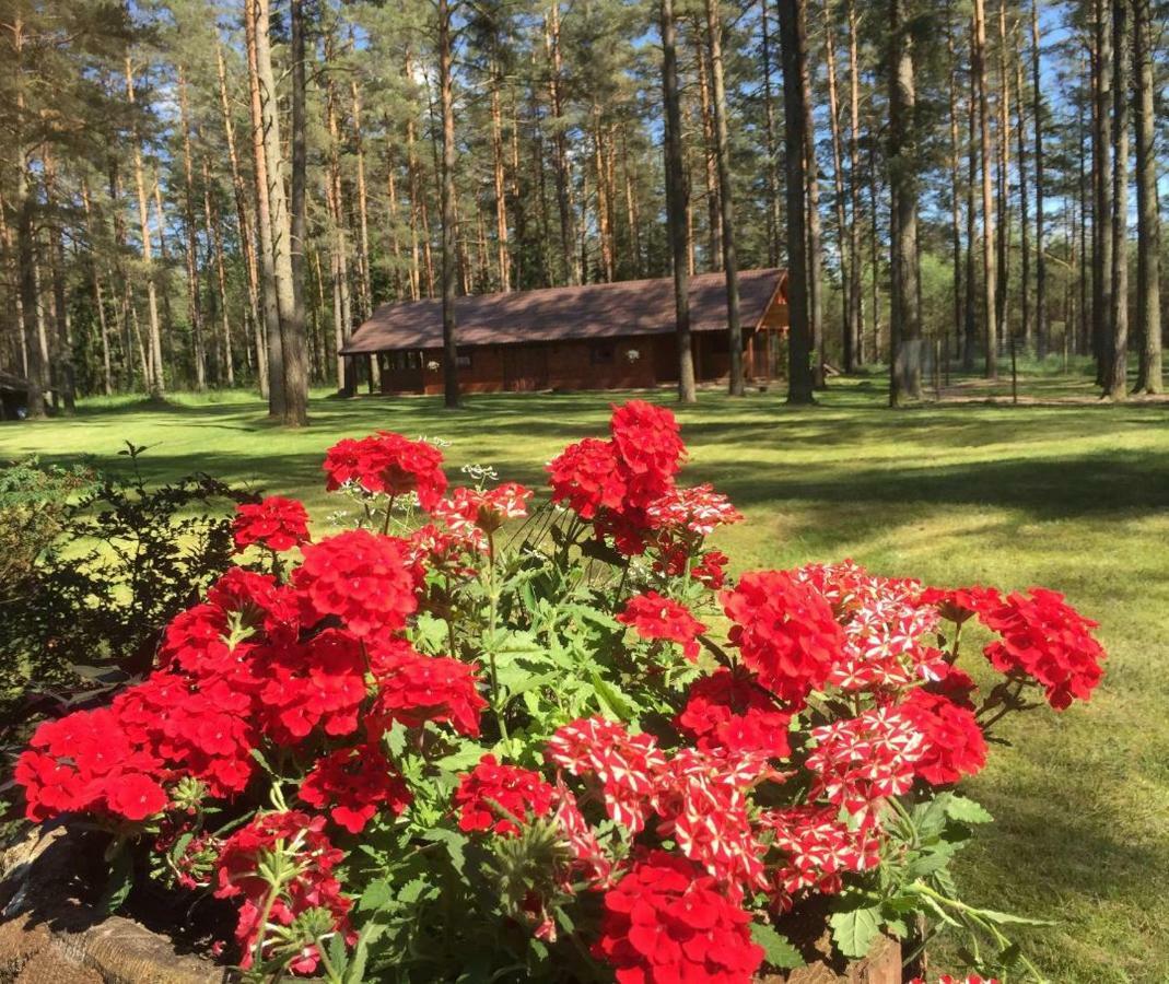 Rojaus Slenis Villa Druskininkai Luaran gambar