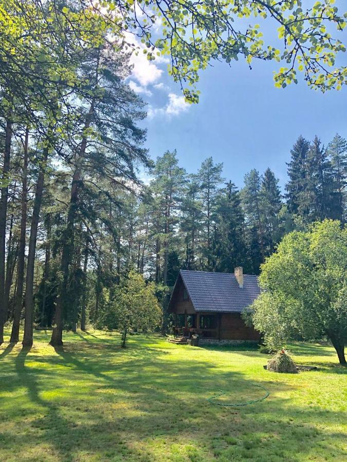 Rojaus Slenis Villa Druskininkai Luaran gambar