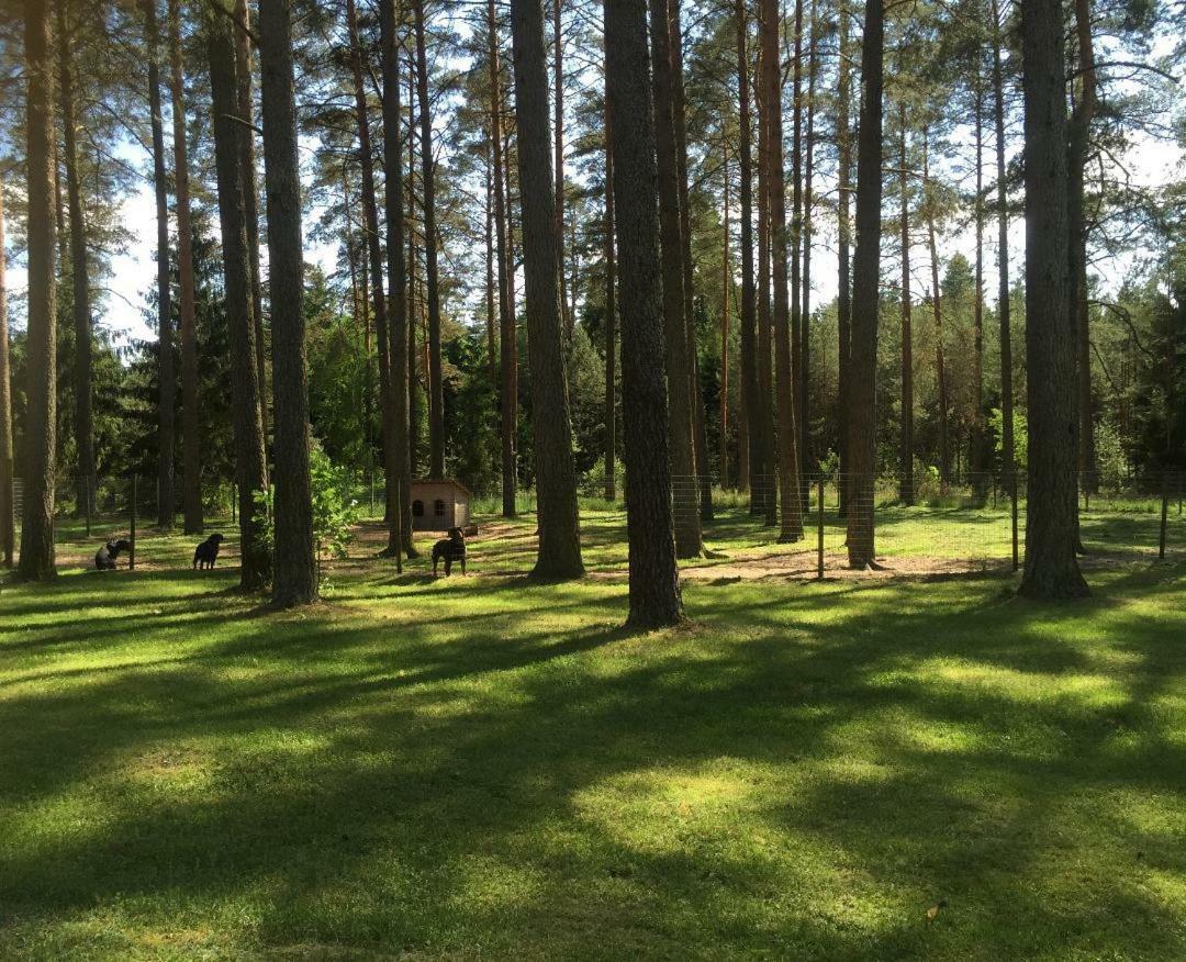 Rojaus Slenis Villa Druskininkai Luaran gambar