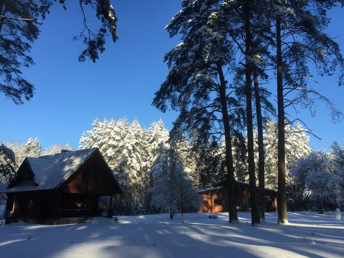 Rojaus Slenis Villa Druskininkai Luaran gambar