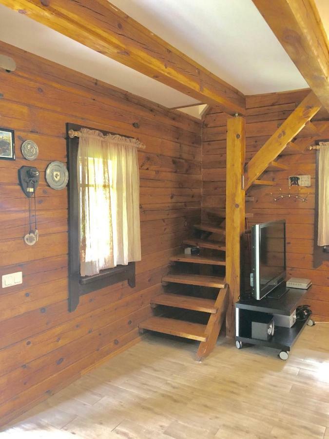 Rojaus Slenis Villa Druskininkai Luaran gambar